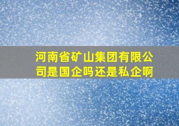 河南省矿山集团有限公司是国企吗还是私企啊