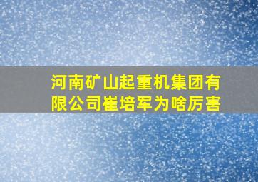 河南矿山起重机集团有限公司崔培军为啥厉害