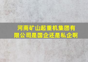 河南矿山起重机集团有限公司是国企还是私企啊