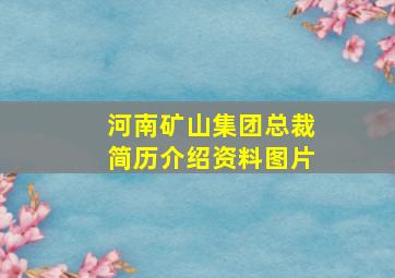 河南矿山集团总裁简历介绍资料图片