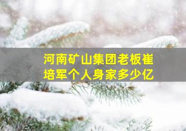 河南矿山集团老板崔培军个人身家多少亿