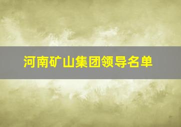 河南矿山集团领导名单