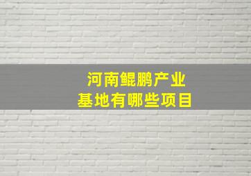 河南鲲鹏产业基地有哪些项目