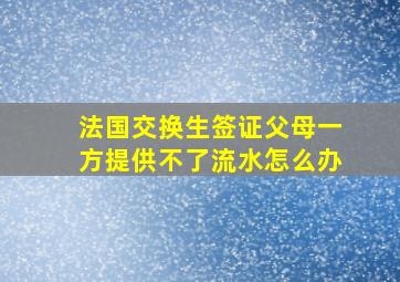 法国交换生签证父母一方提供不了流水怎么办