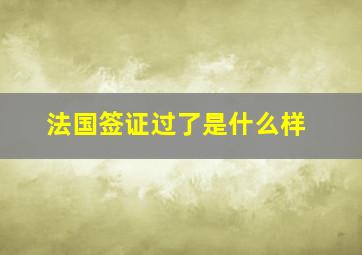 法国签证过了是什么样