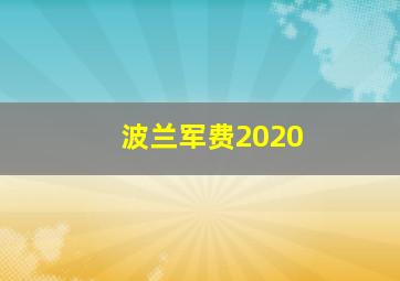 波兰军费2020