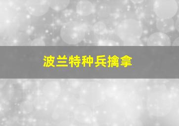 波兰特种兵擒拿