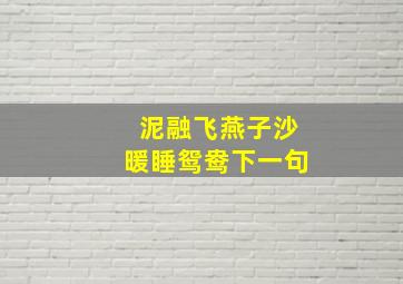 泥融飞燕子沙暖睡鸳鸯下一句