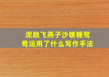 泥融飞燕子沙暖睡鸳鸯运用了什么写作手法