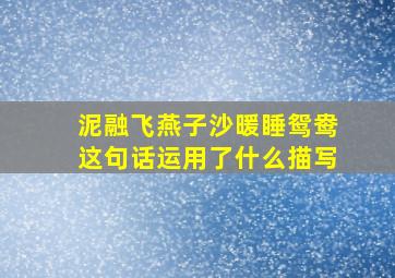 泥融飞燕子沙暖睡鸳鸯这句话运用了什么描写