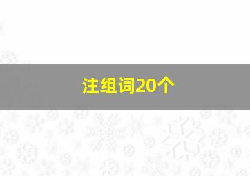 注组词20个