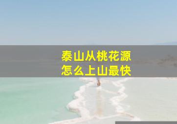 泰山从桃花源怎么上山最快