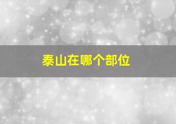 泰山在哪个部位