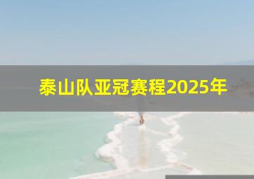 泰山队亚冠赛程2025年