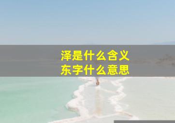 泽是什么含义东字什么意思