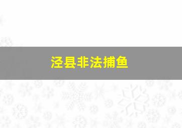 泾县非法捕鱼