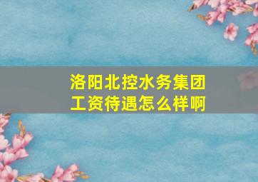 洛阳北控水务集团工资待遇怎么样啊