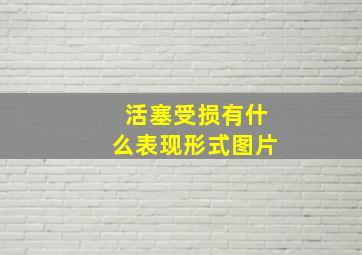 活塞受损有什么表现形式图片