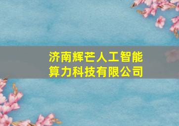 济南辉芒人工智能算力科技有限公司