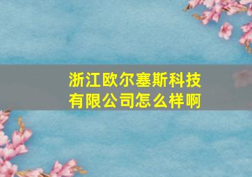 浙江欧尔塞斯科技有限公司怎么样啊