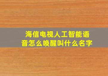 海信电视人工智能语音怎么唤醒叫什么名字