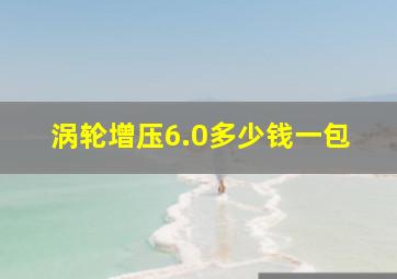 涡轮增压6.0多少钱一包