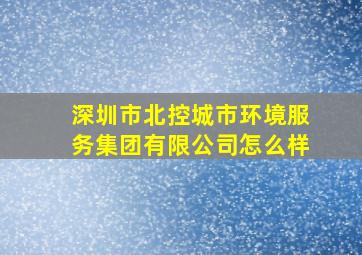 深圳市北控城市环境服务集团有限公司怎么样