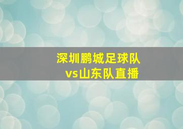 深圳鹏城足球队vs山东队直播