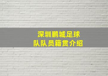 深圳鹏城足球队队员籍贯介绍