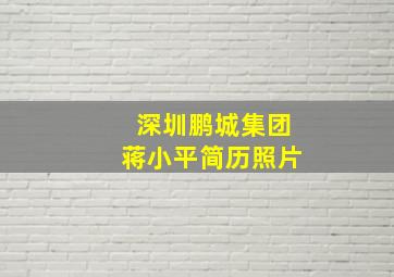 深圳鹏城集团蒋小平简历照片