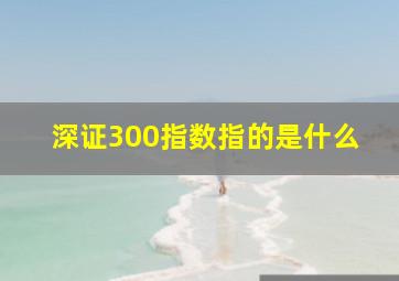 深证300指数指的是什么