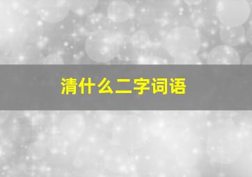 清什么二字词语