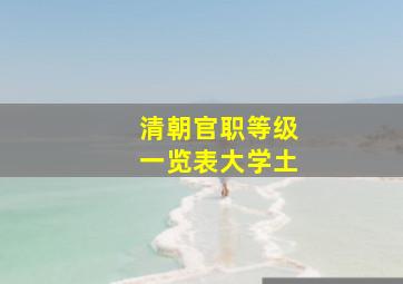 清朝官职等级一览表大学土