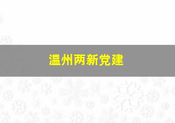 温州两新党建