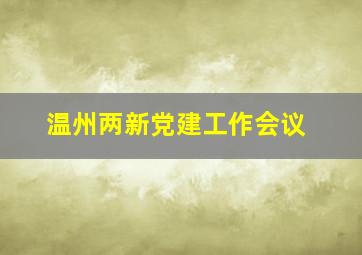 温州两新党建工作会议