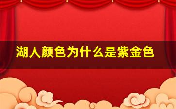 湖人颜色为什么是紫金色