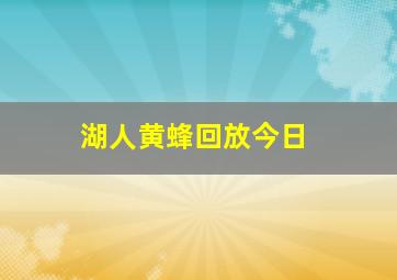 湖人黄蜂回放今日