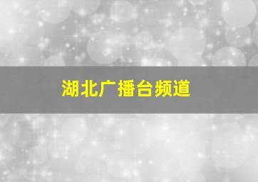 湖北广播台频道