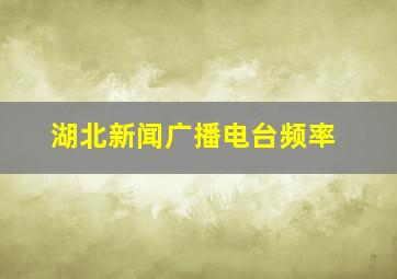 湖北新闻广播电台频率