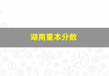 湖南重本分数