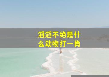 滔滔不绝是什么动物打一肖