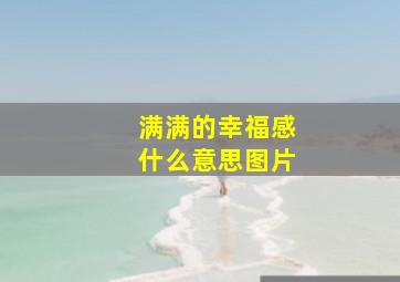 满满的幸福感什么意思图片