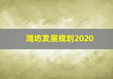 潍坊发展规划2020