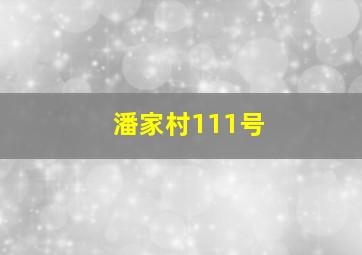 潘家村111号