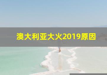 澳大利亚大火2019原因