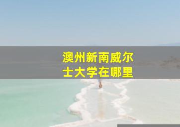 澳州新南威尔士大学在哪里