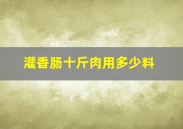 灌香肠十斤肉用多少料