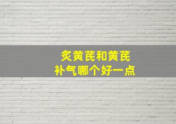 炙黄芪和黄芪补气哪个好一点