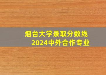 烟台大学录取分数线2024中外合作专业