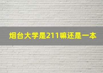 烟台大学是211嘛还是一本